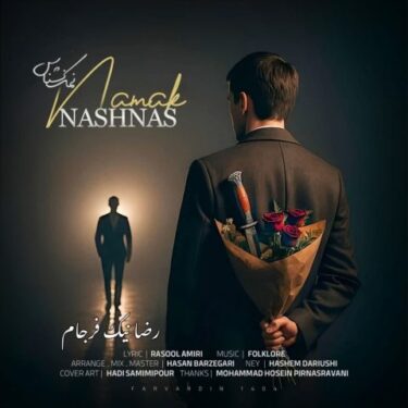 دانلود آهنگ جدید رضا نیک فرجام نمک نشناس